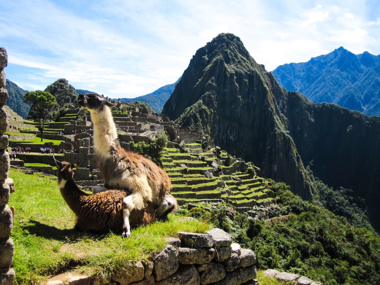 Machu Picchu Wallpapers