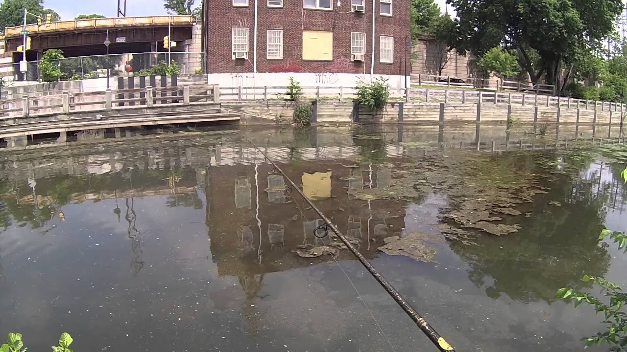 Manayunk Canal Wallpapers