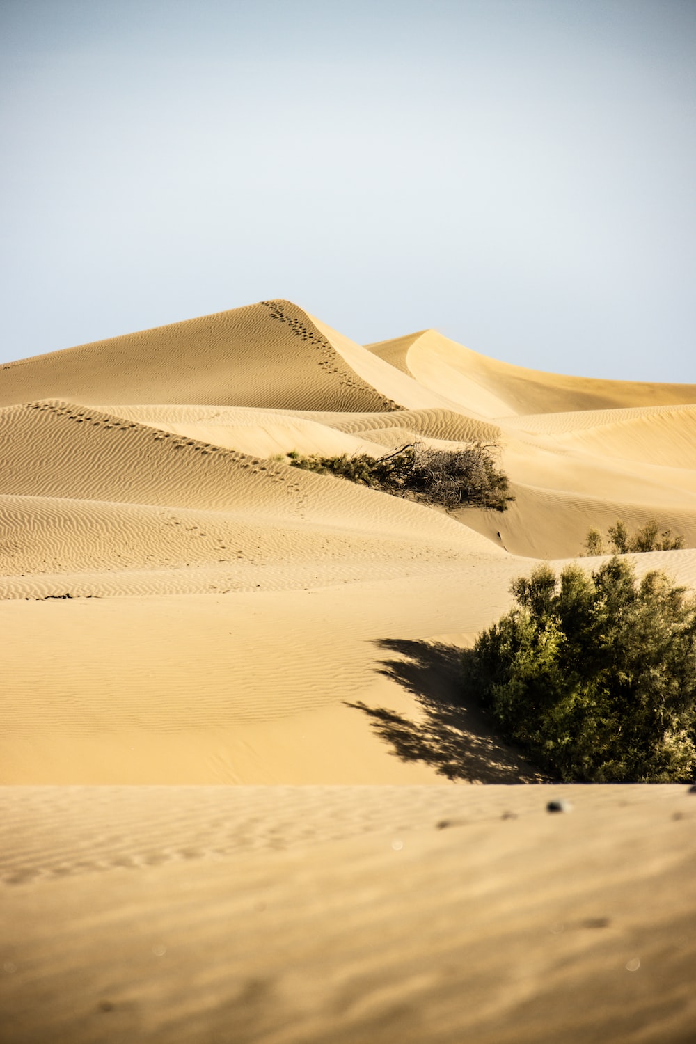 Maspalomas Dunes Wallpapers