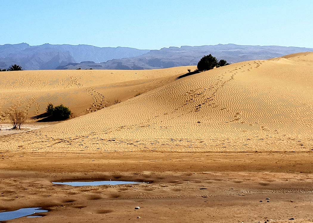 Maspalomas Dunes Wallpapers