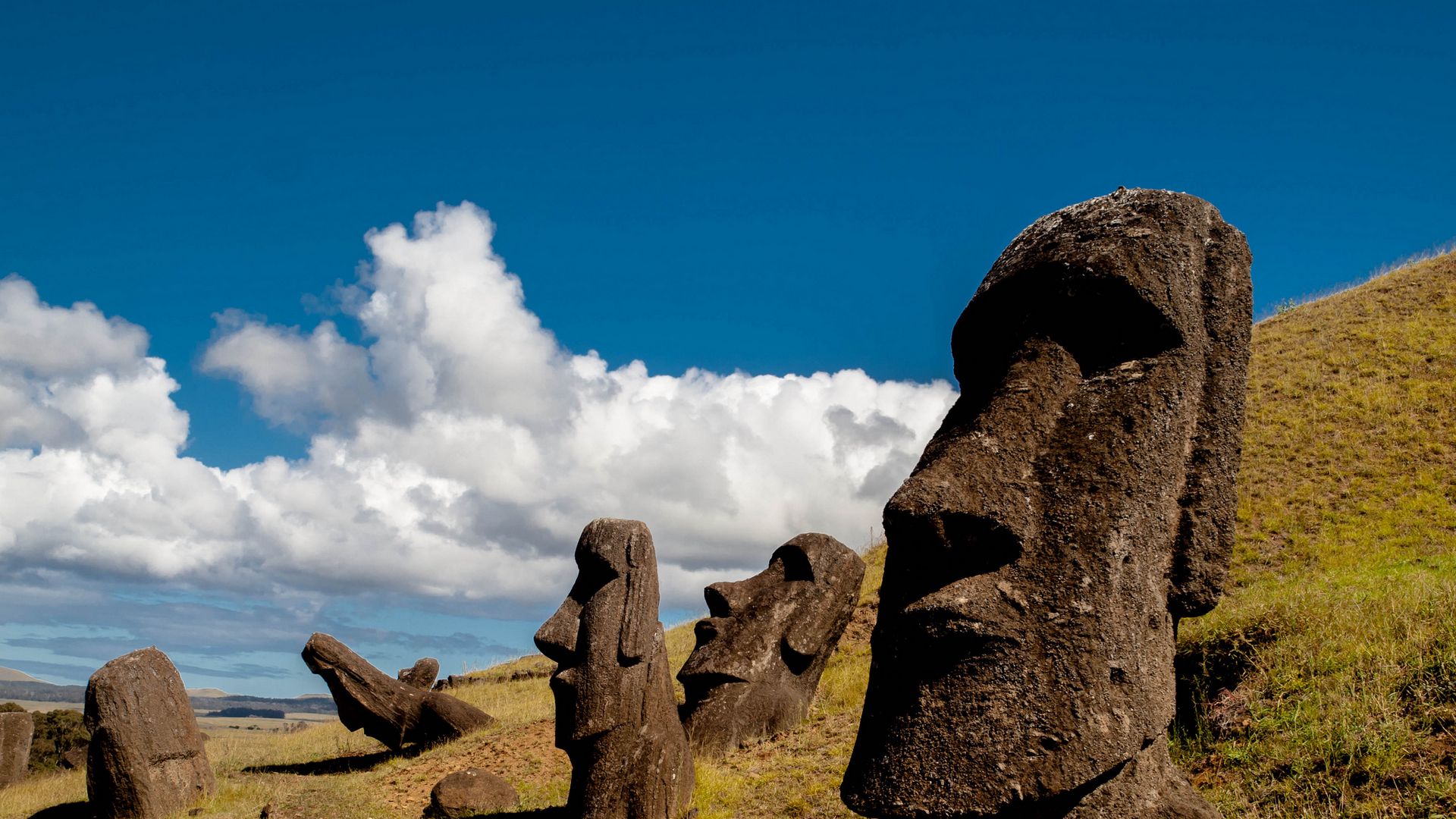 Moai Wallpapers