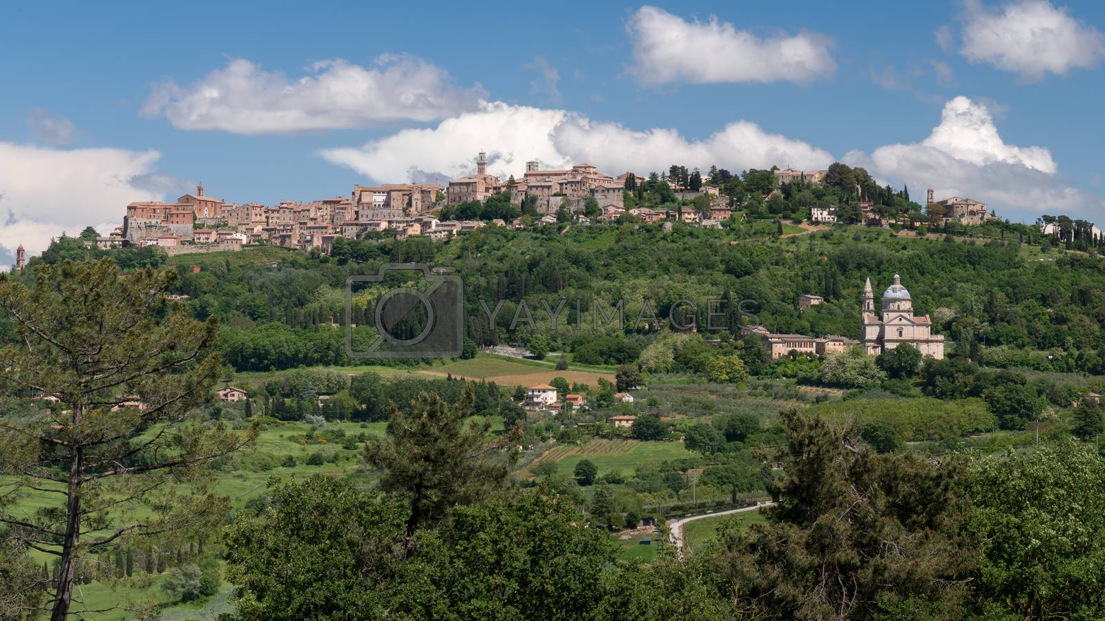 Montepulciano Wallpapers