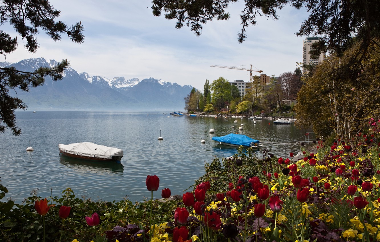 Montreux Wallpapers