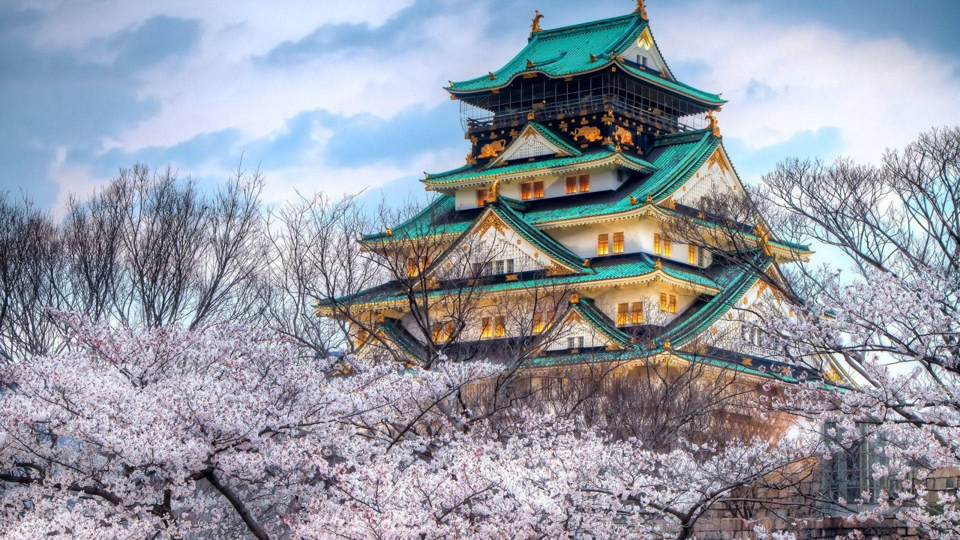 Nagoya Castle Wallpapers