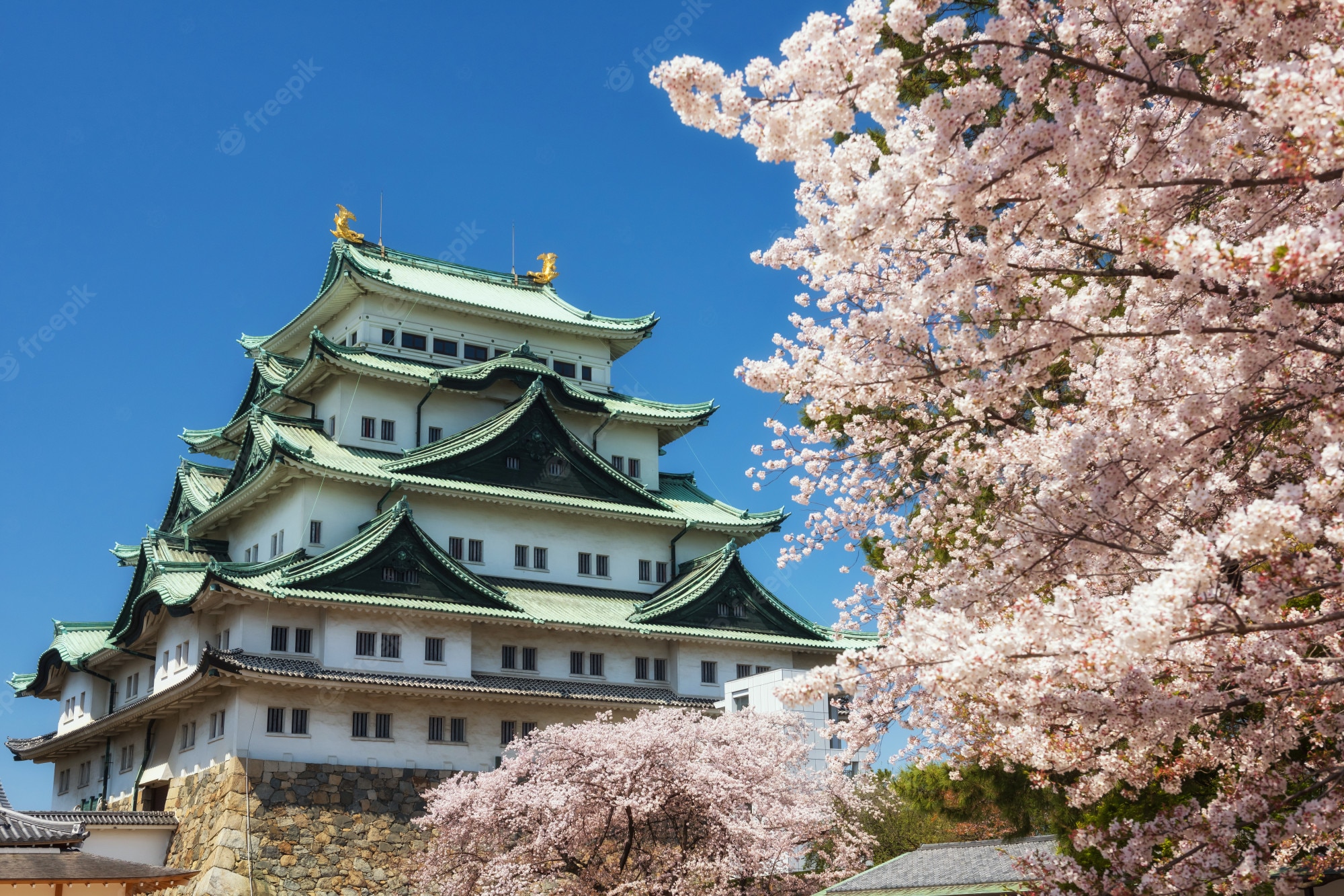 Nagoya Castle Wallpapers