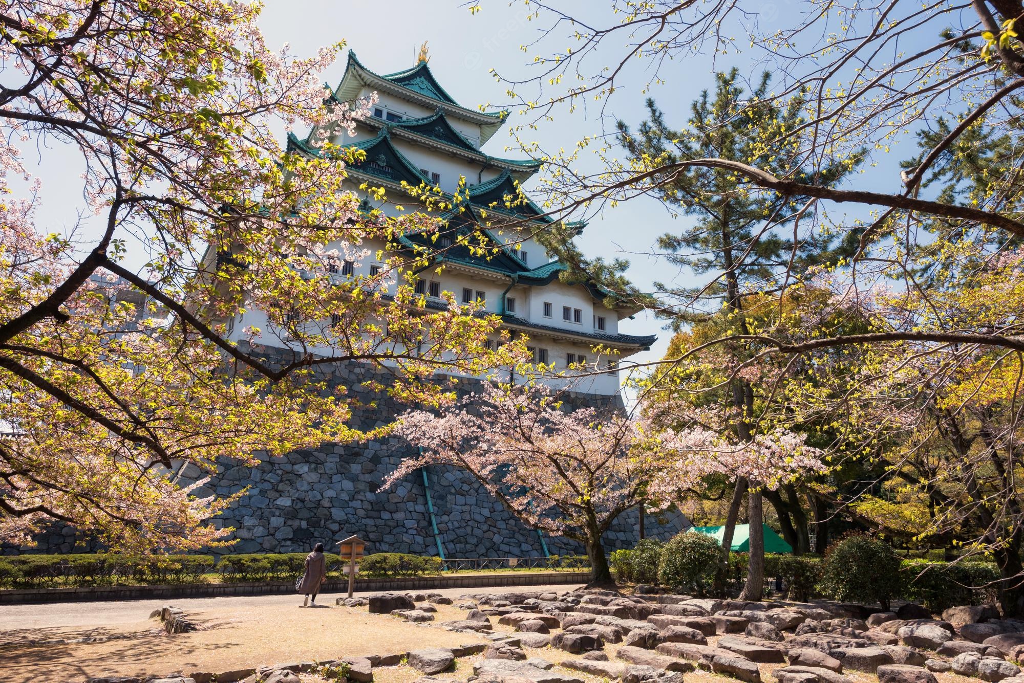 Nagoya Castle Wallpapers