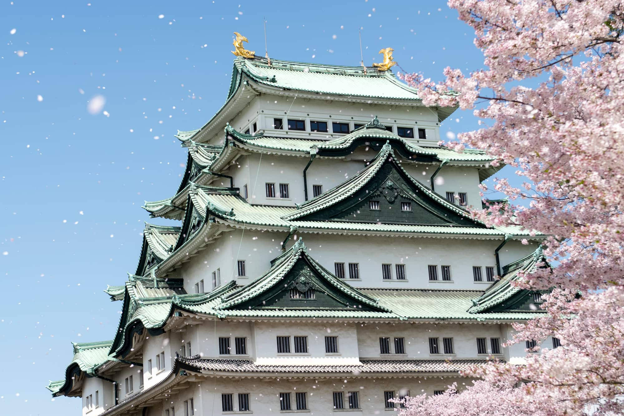 Nagoya Castle Wallpapers