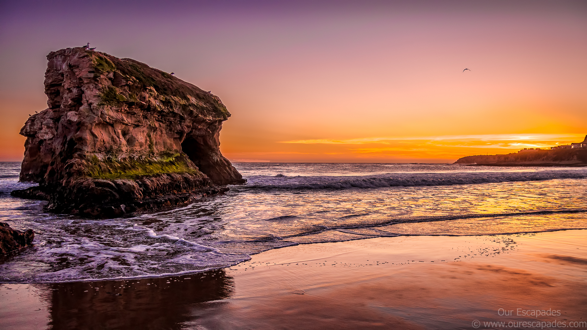 Natural Bridges State Beach California Wallpapers