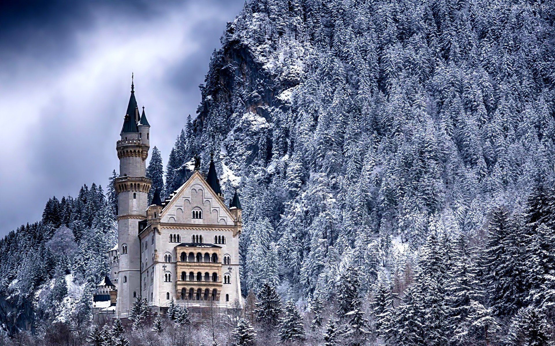 Neuschwanstein Castle In Winter Wallpapers