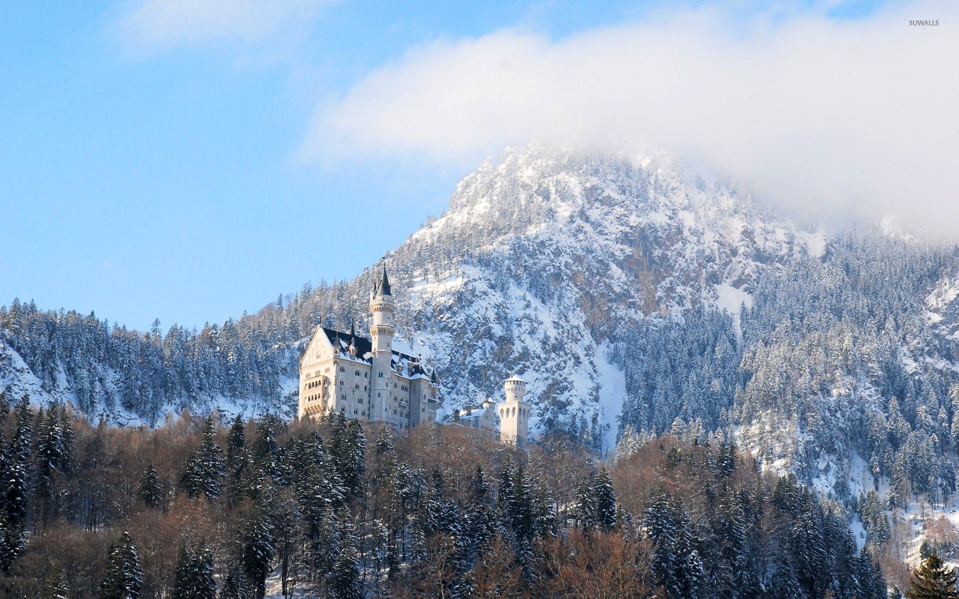 Neuschwanstein Castle In Winter Wallpapers