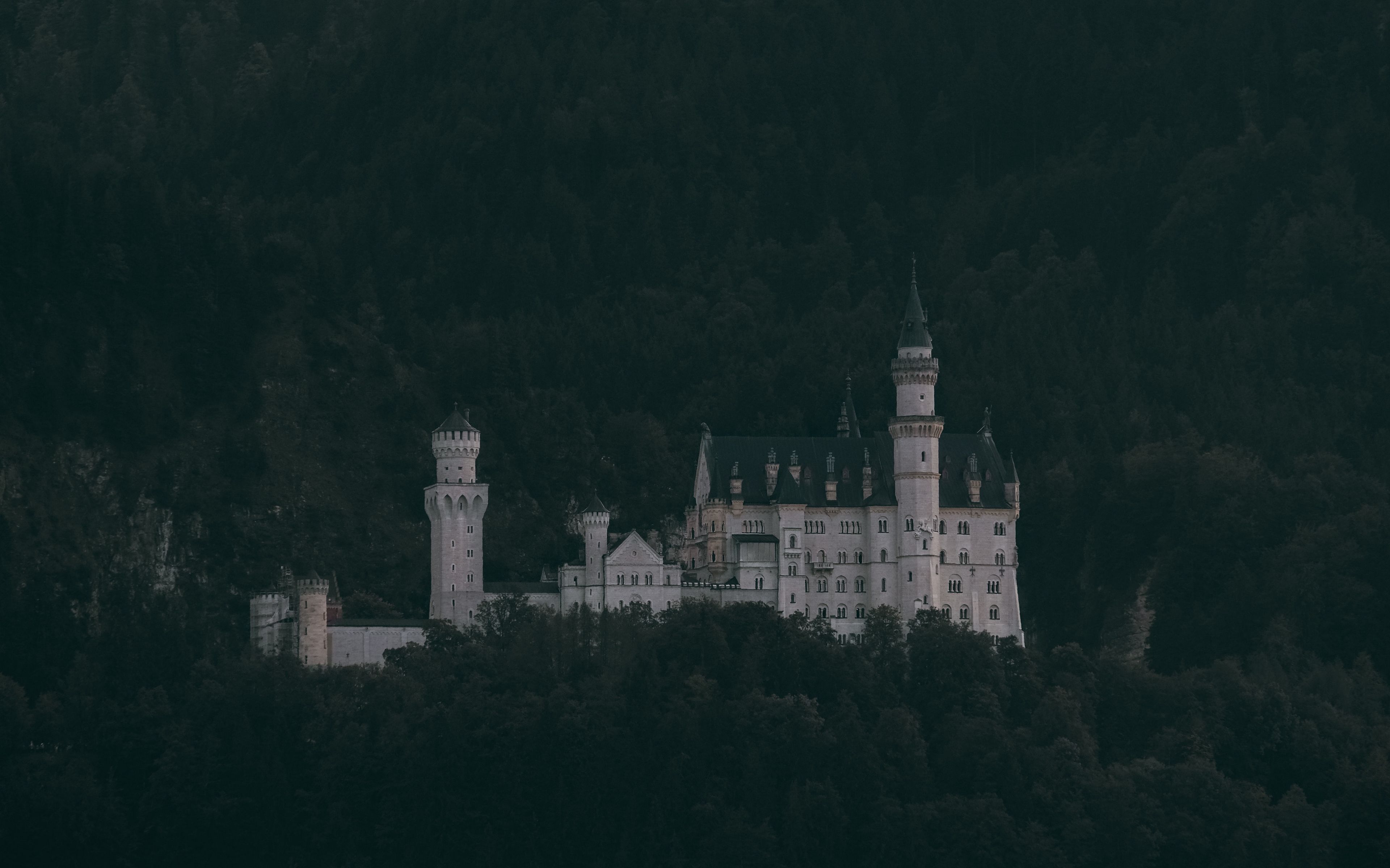 Neuschwanstein Castle Mountains And Forest Germany Wallpapers