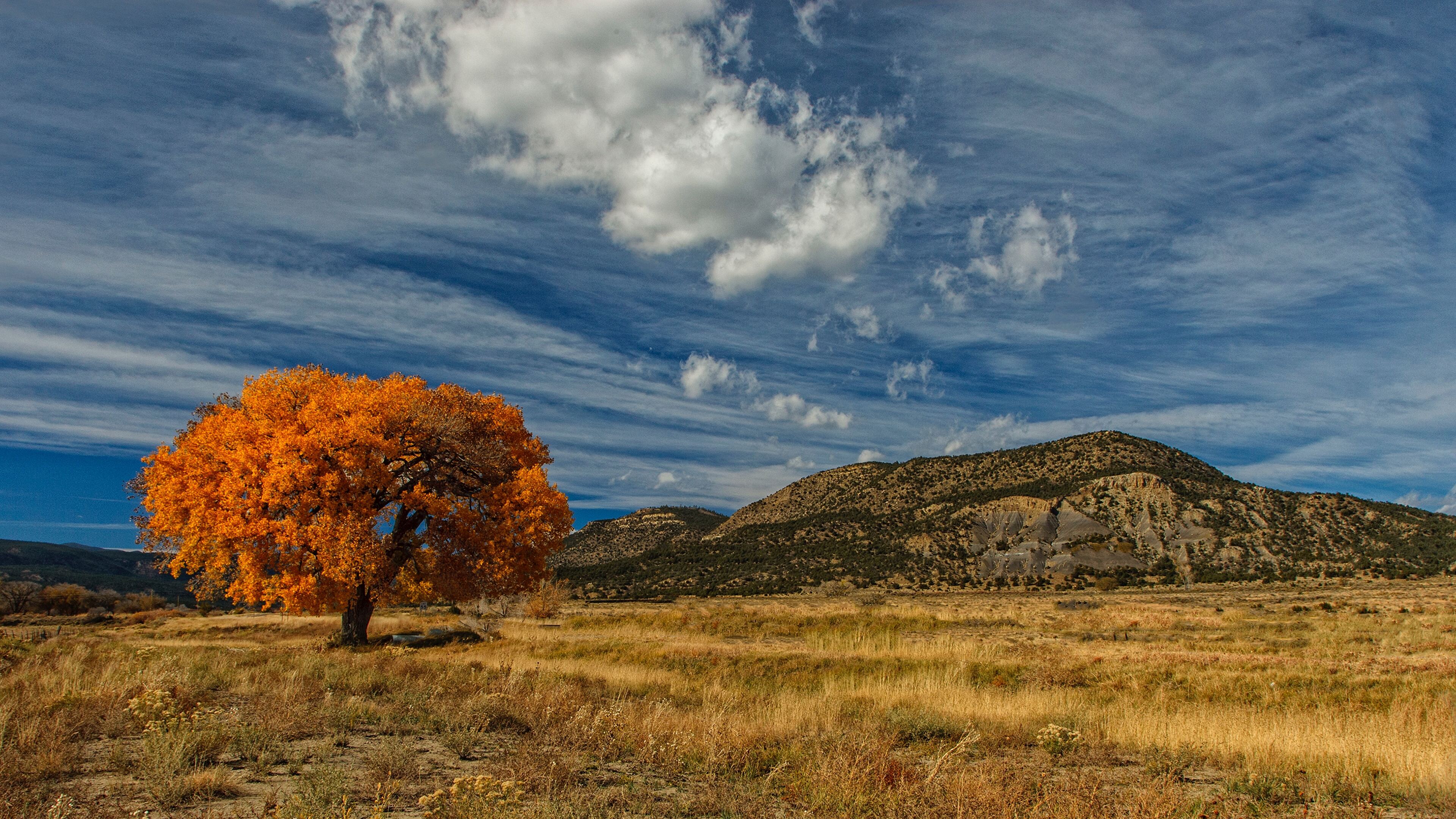 New Mexico Wallpapers