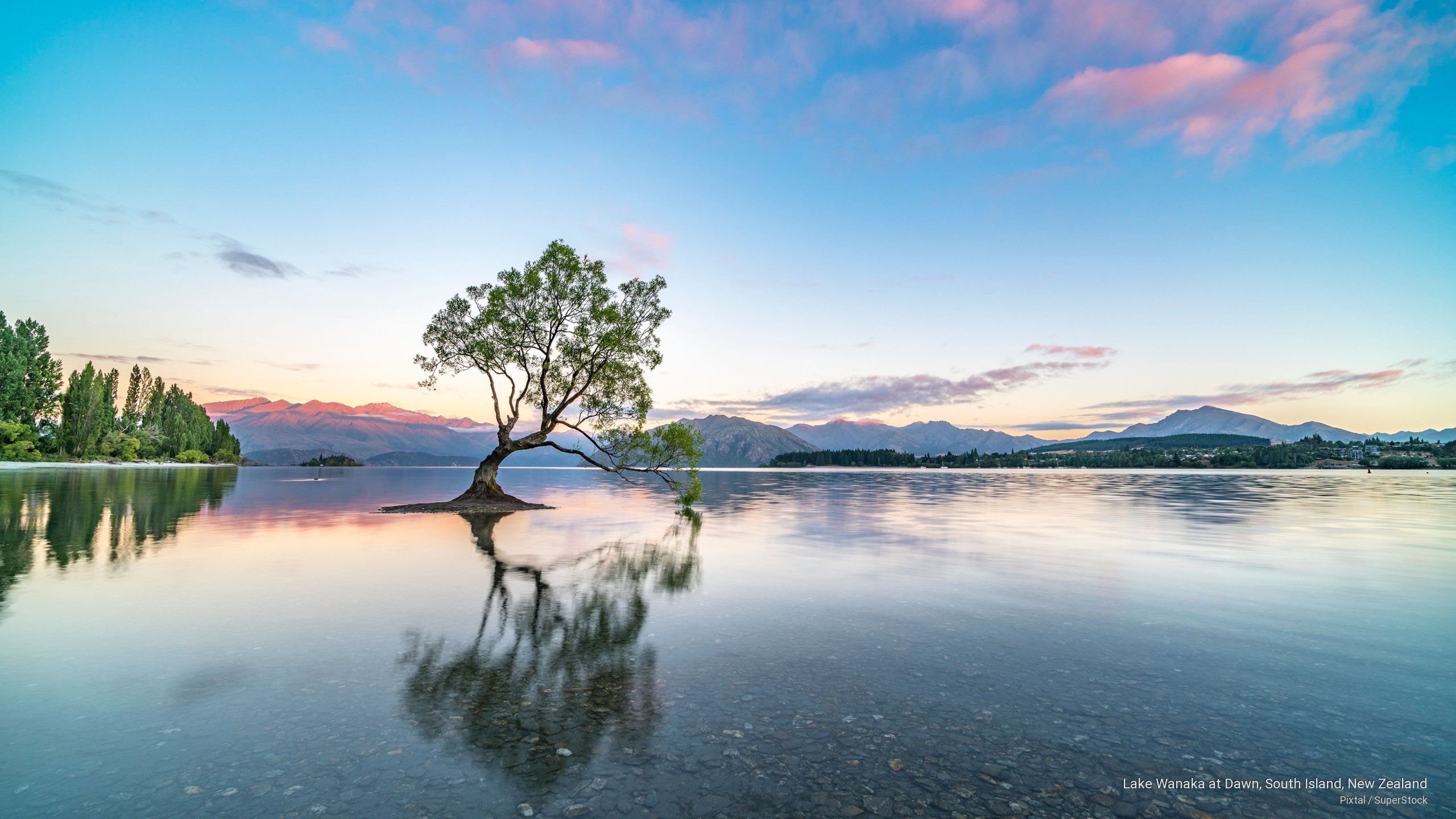 New Zealand Mountains Dawn Lake Wallpapers