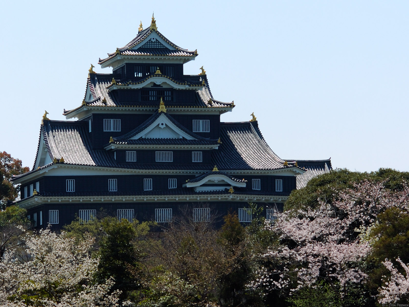 Okayama Castle Wallpapers