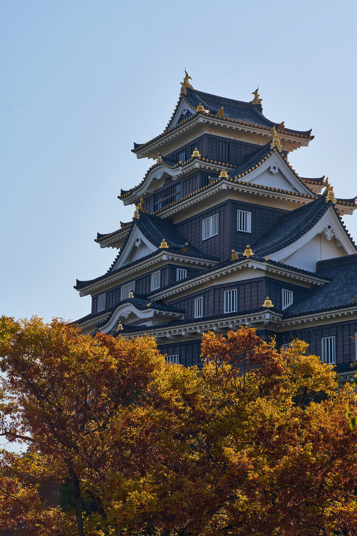 Okayama Castle Wallpapers