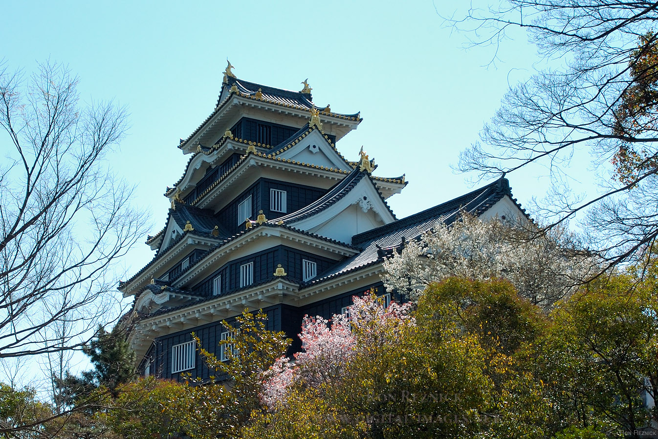 Okayama Castle Wallpapers