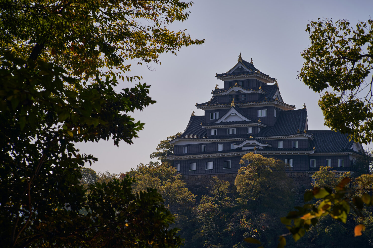 Okayama Castle Wallpapers