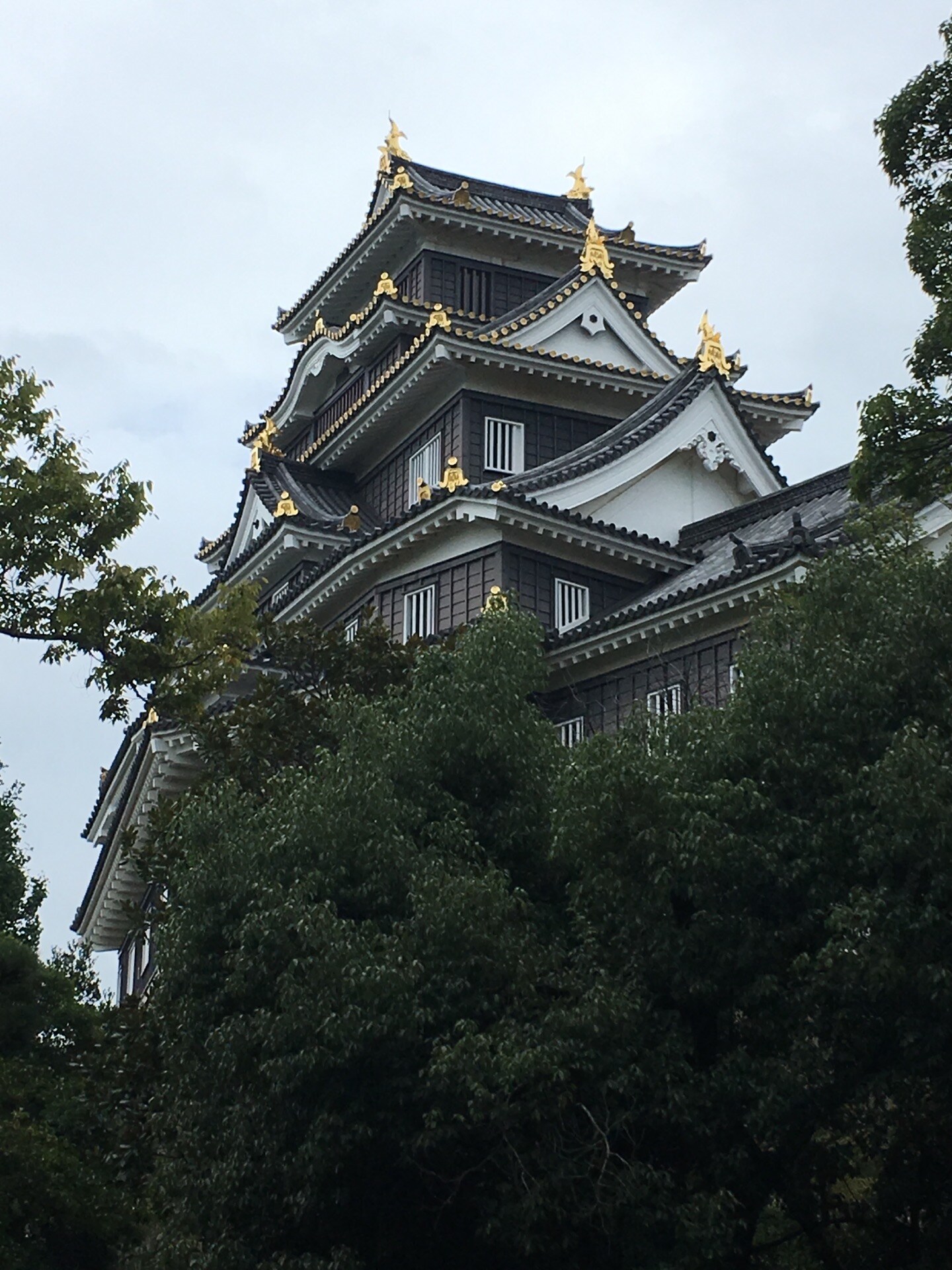 Okayama Castle Wallpapers