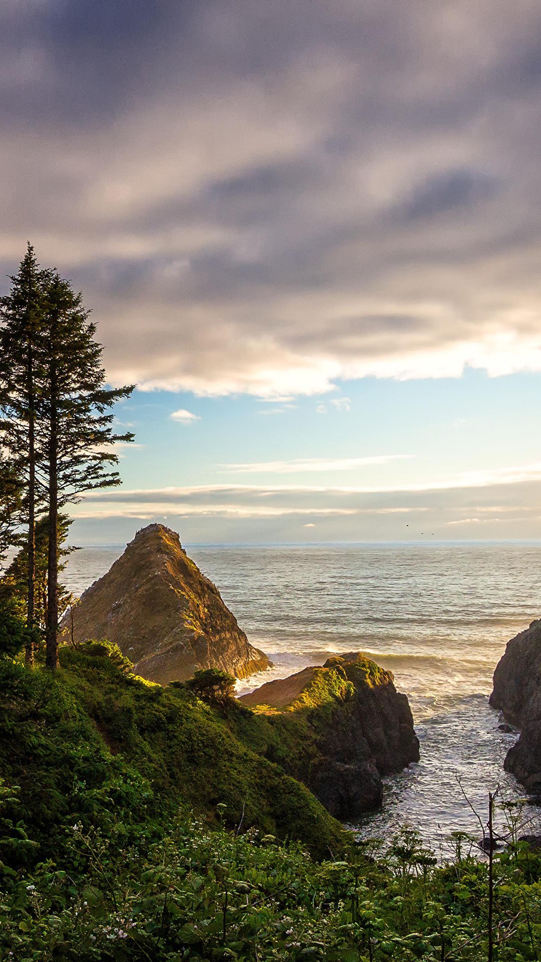 Oregon Coast Wallpapers