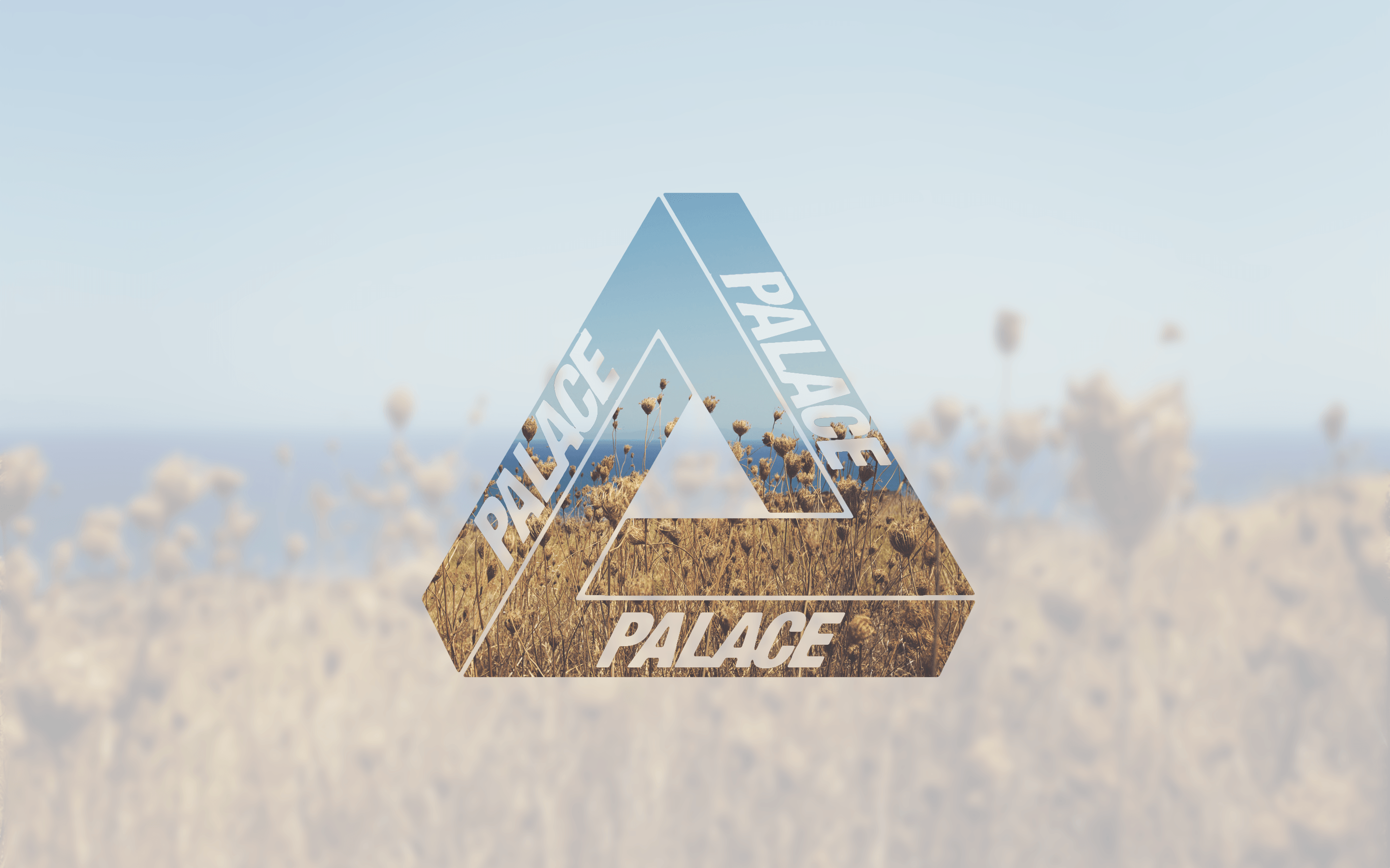 Palace Wallpapers