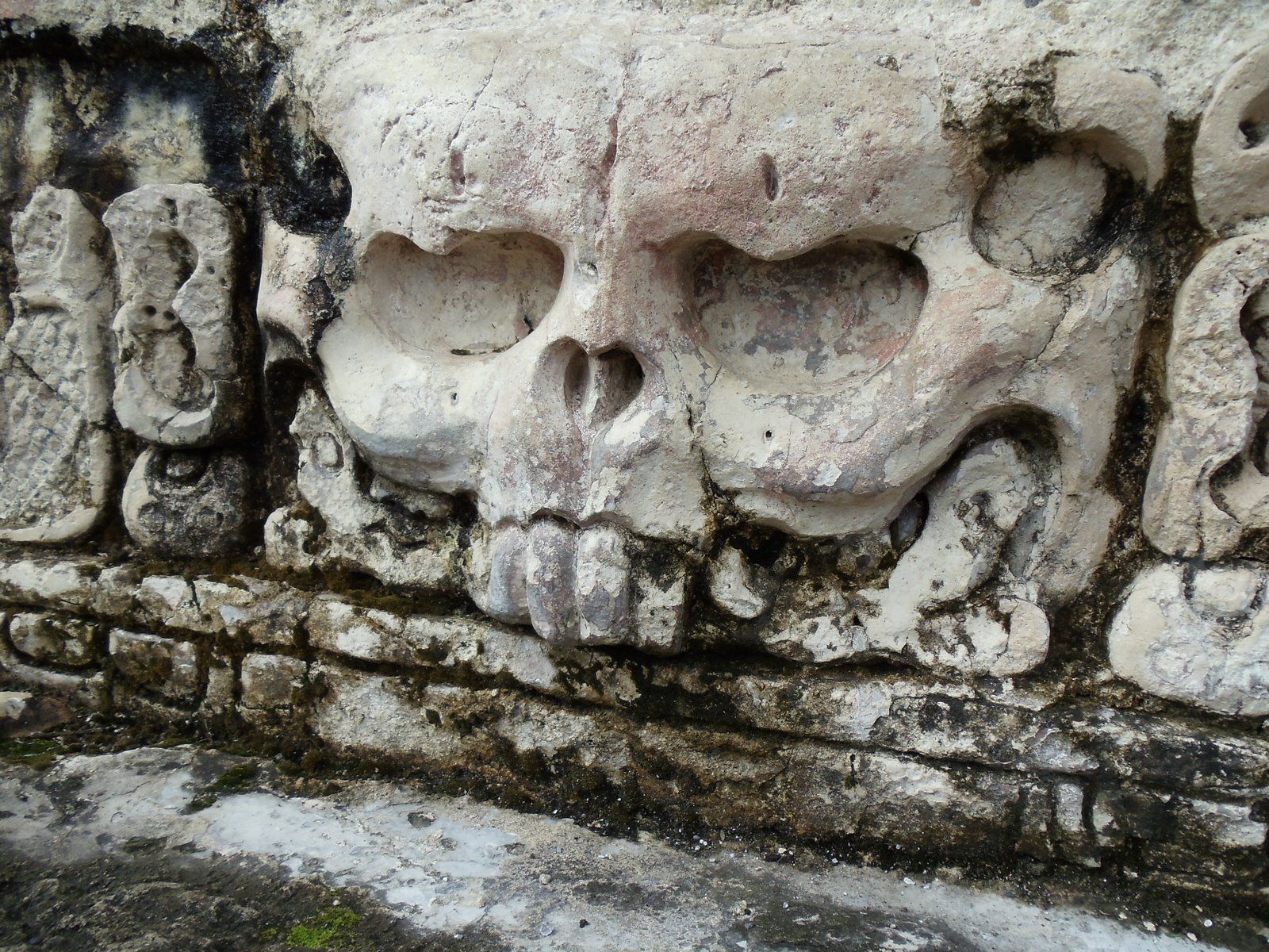 Palenque'S Temple Of The Skull Wallpapers