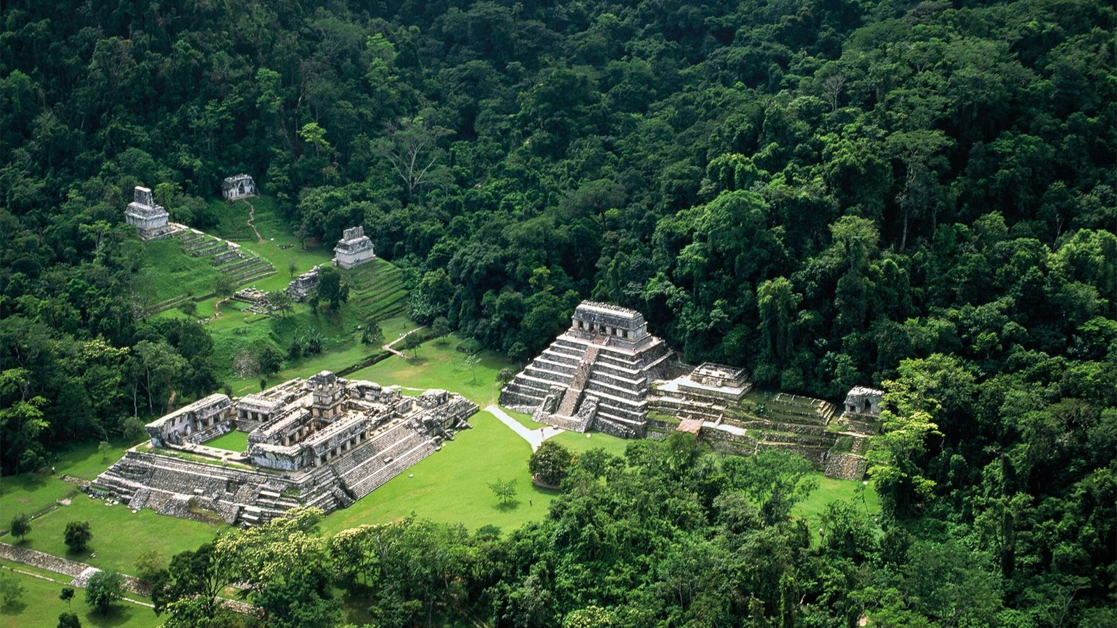 Palenque'S Temple Of The Skull Wallpapers