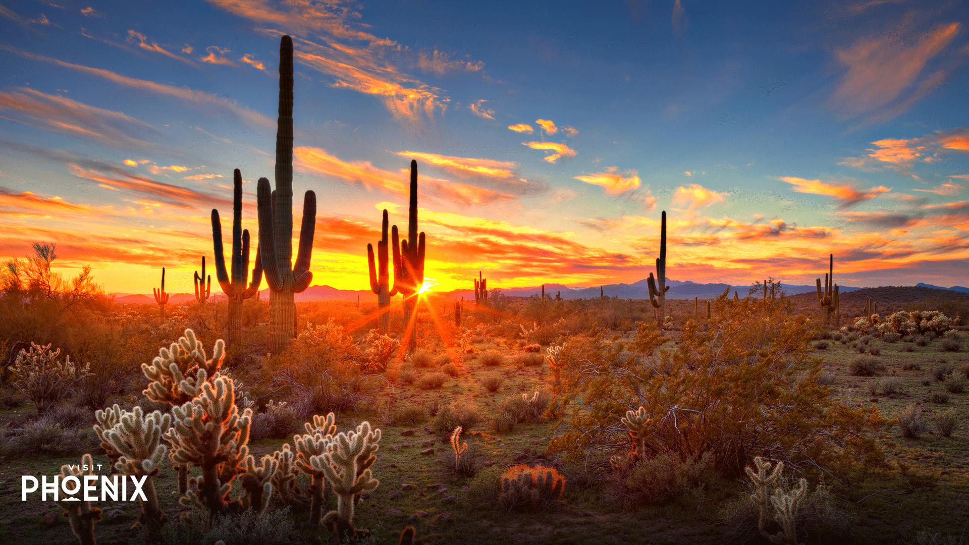 Phoenix Arizona Wallpapers