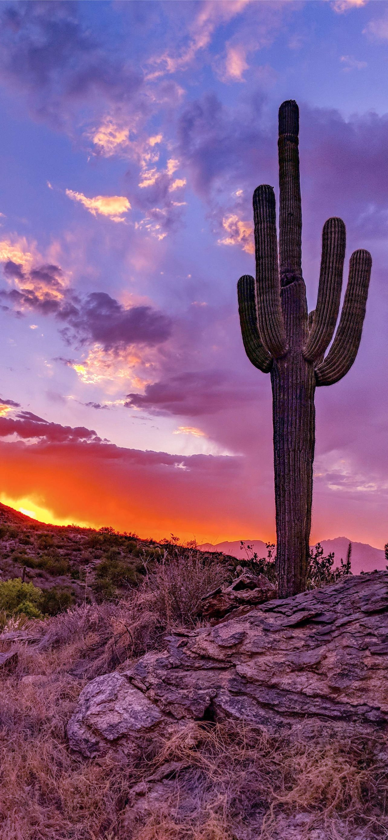 Phoenix Arizona Wallpapers