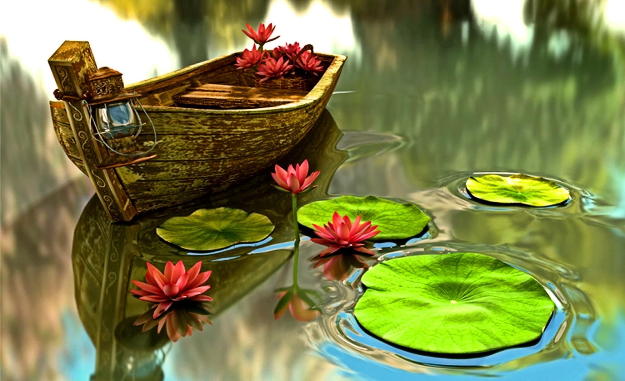 Pond Wallpapers