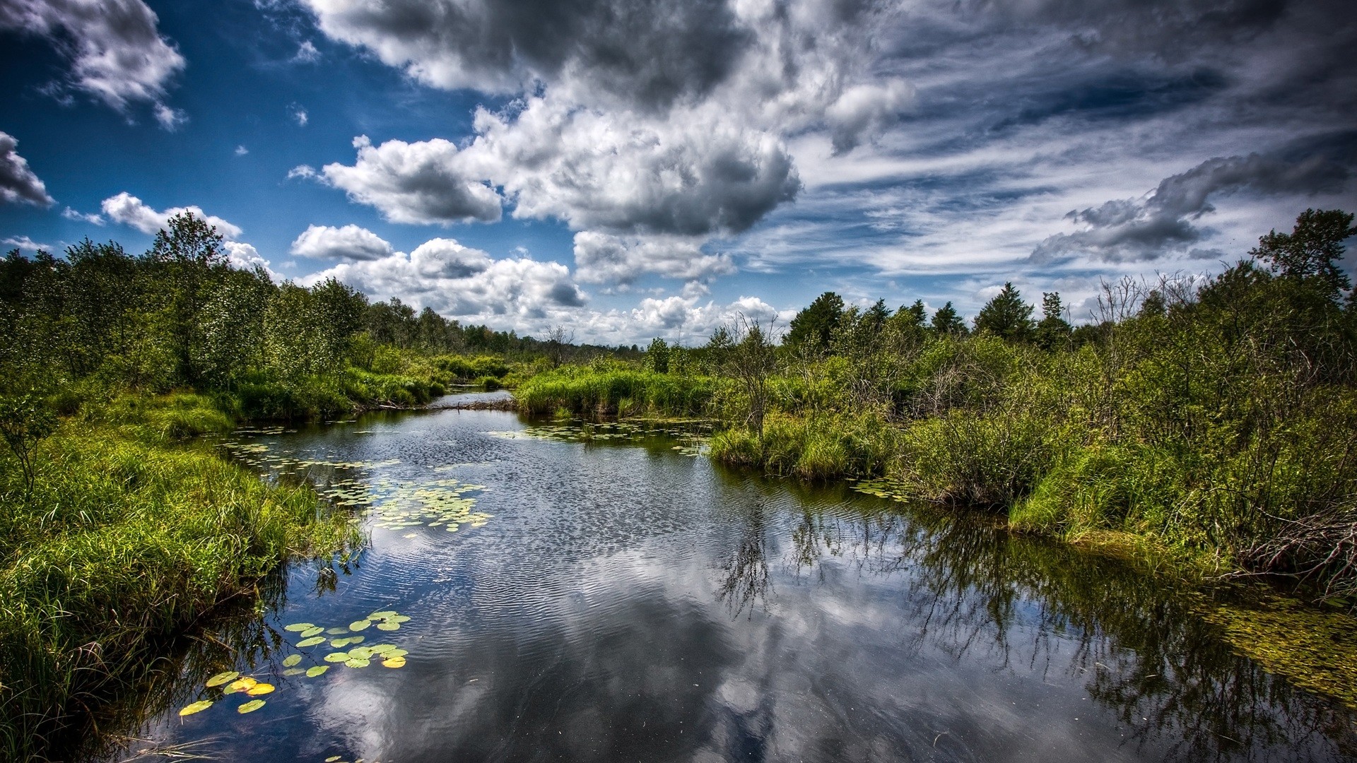 Pond Wallpapers