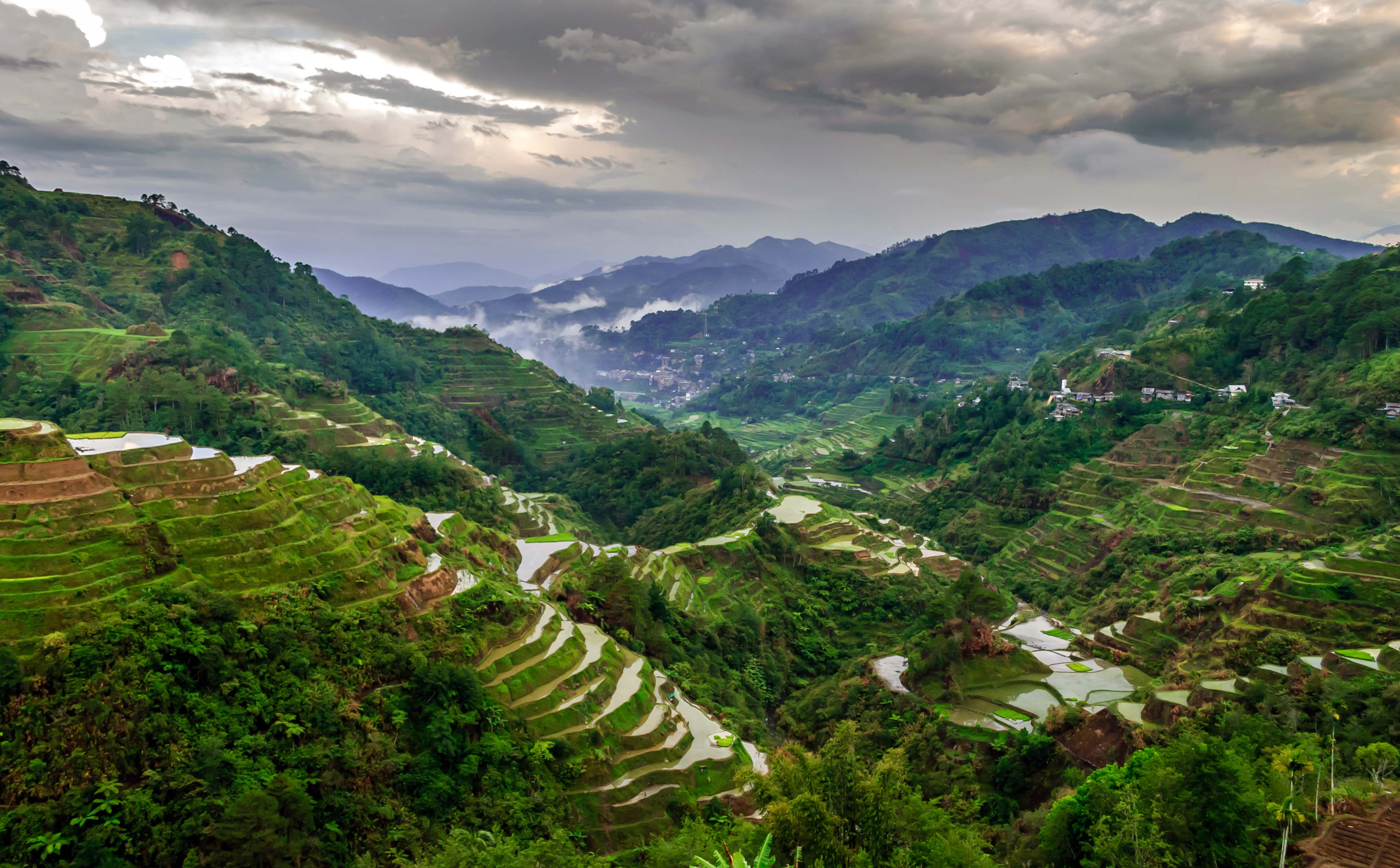 Rice Terrace Wallpapers