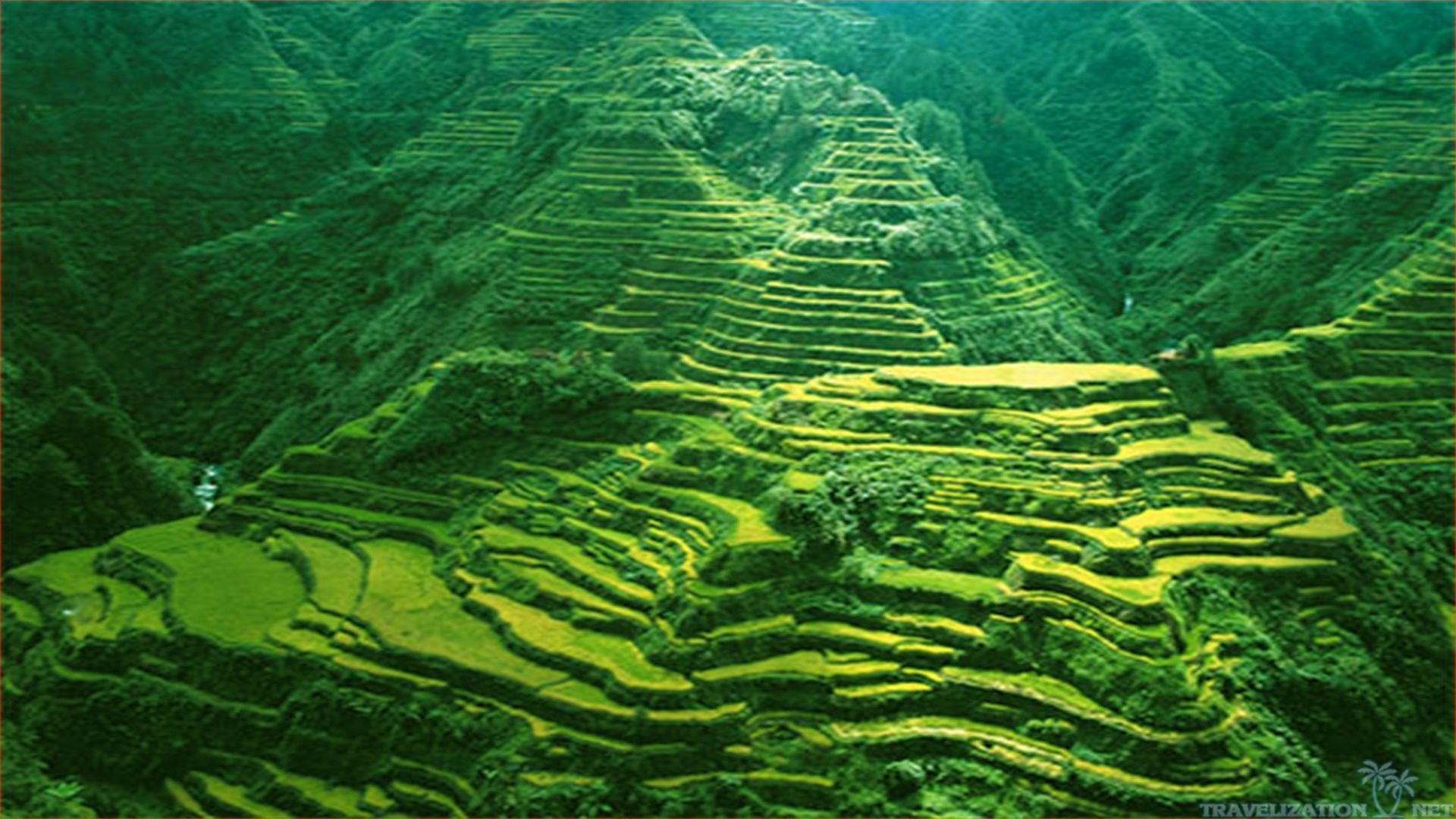 Rice Terrace Wallpapers