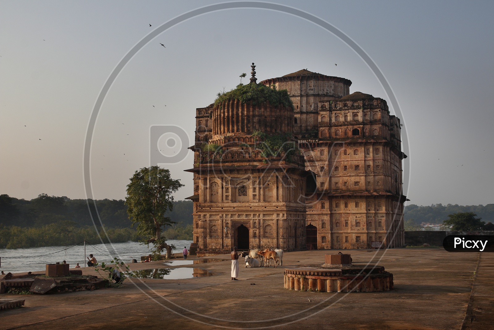 Royal Chhatris Of Orchha Wallpapers