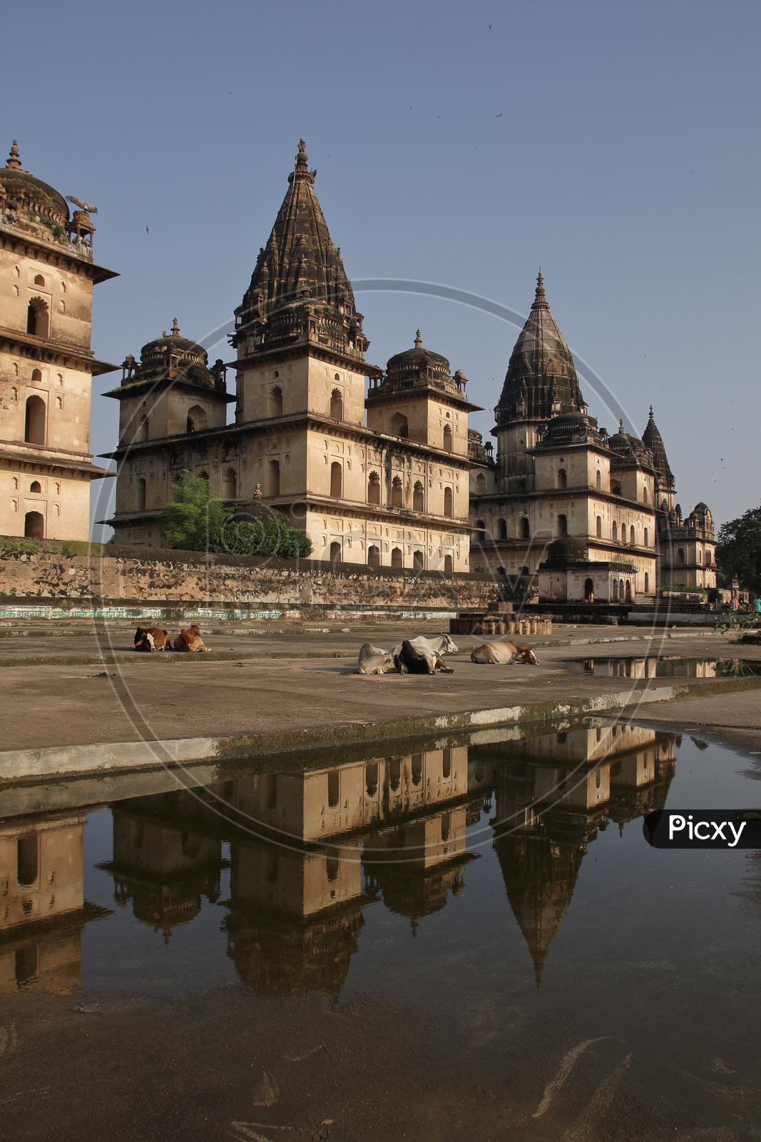 Royal Chhatris Of Orchha Wallpapers