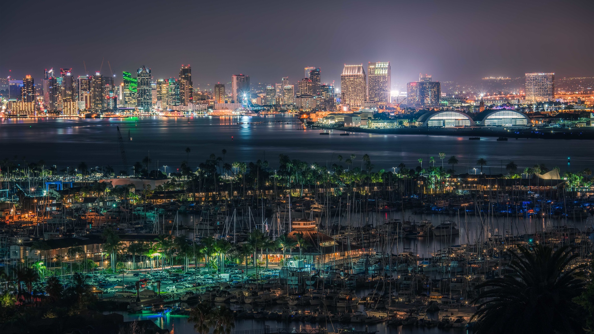 San Diego Building Nightscape Wallpapers