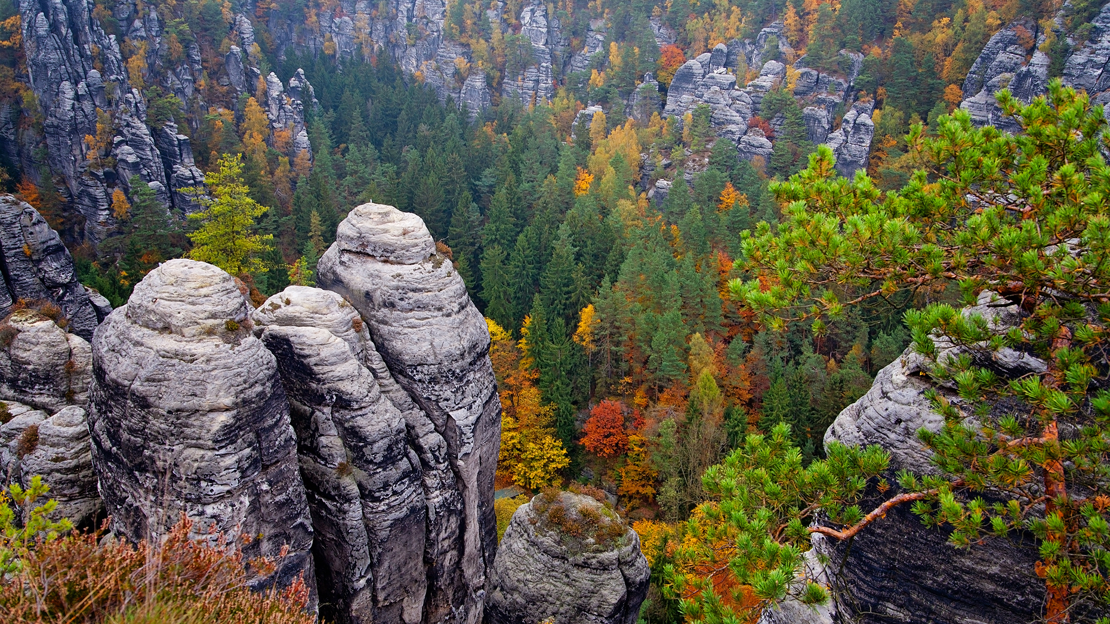 Saxon Switzerland Wallpapers