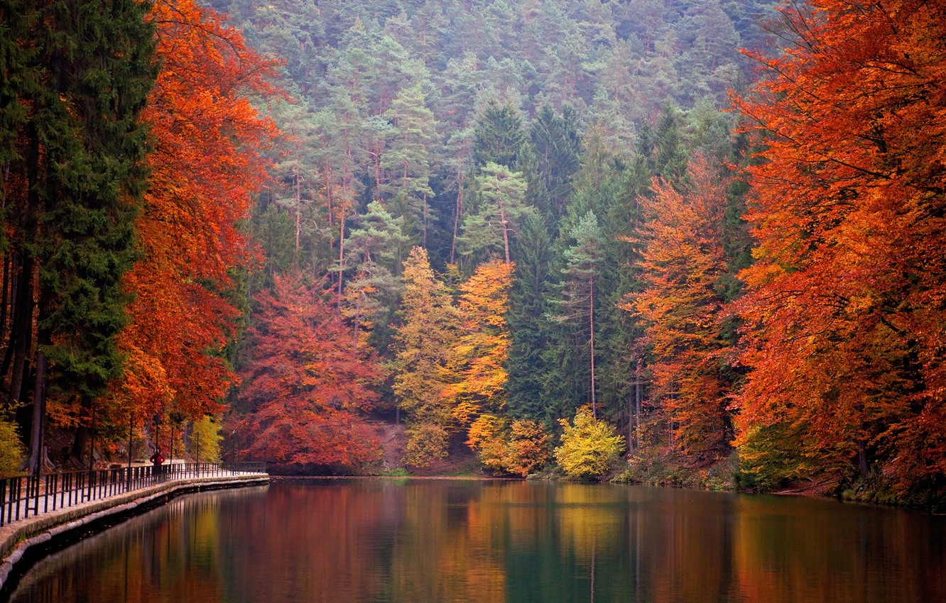 Saxon Switzerland Wallpapers