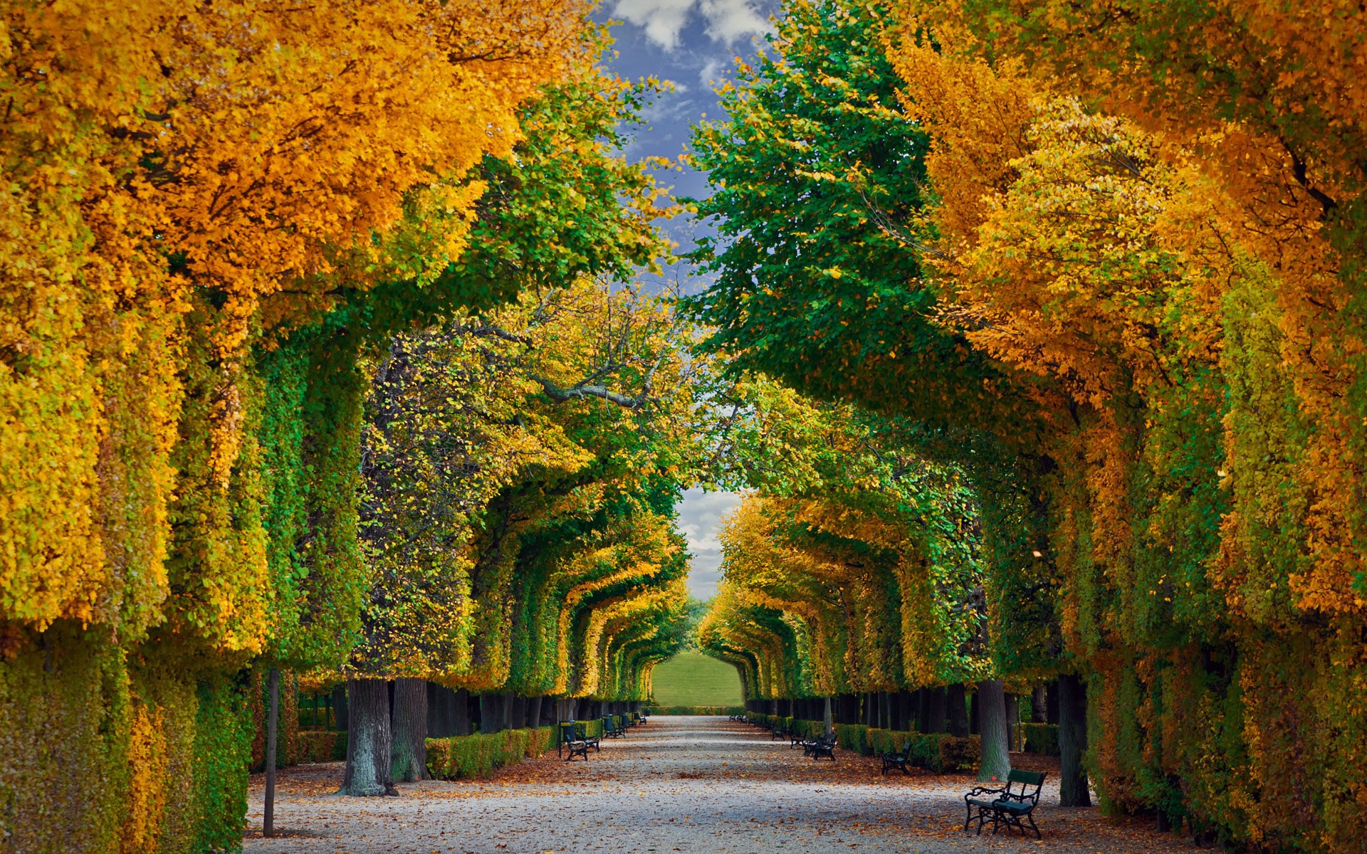 SchoNbrunn Palace Wallpapers