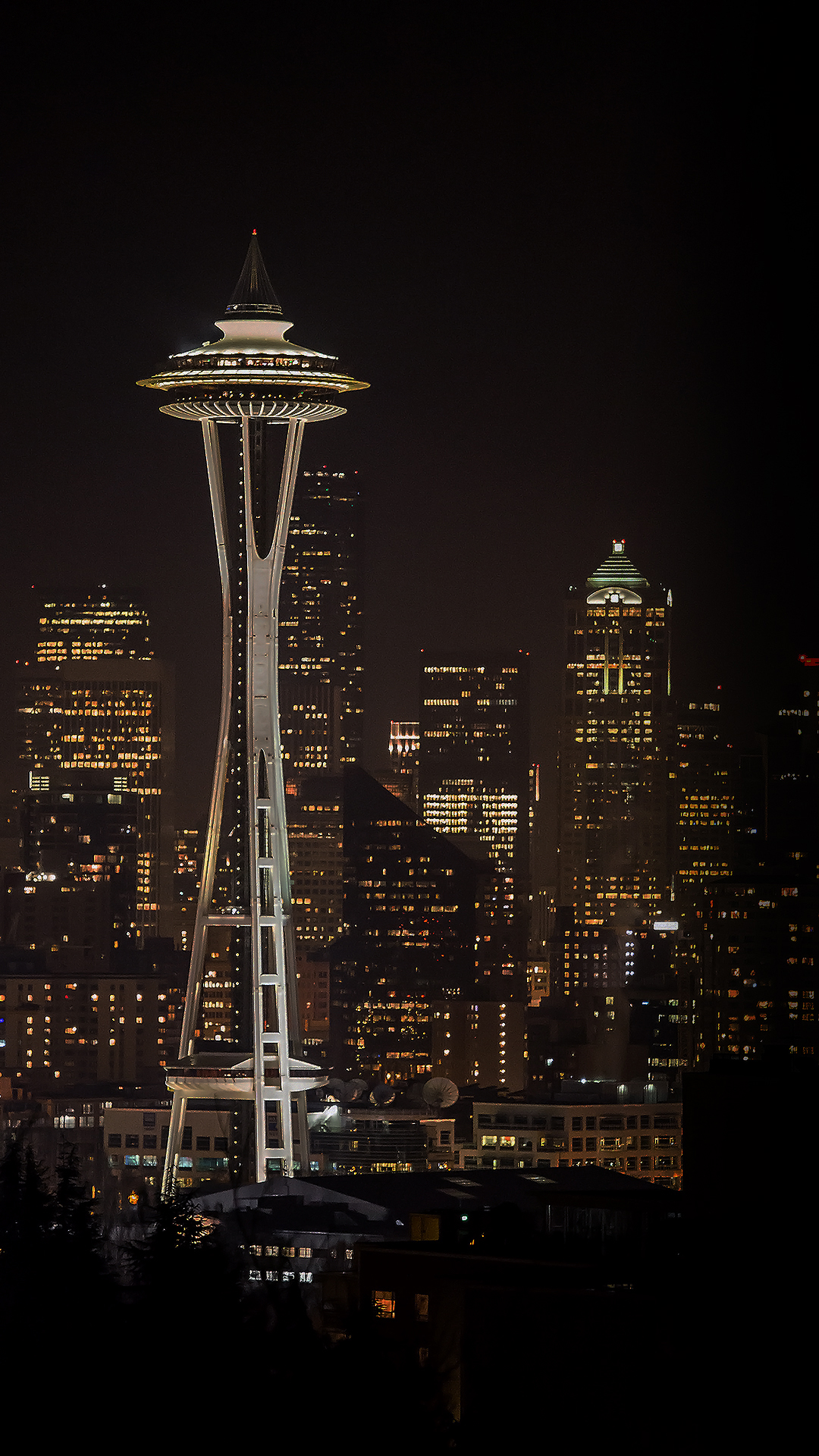 Space Needle Wallpapers