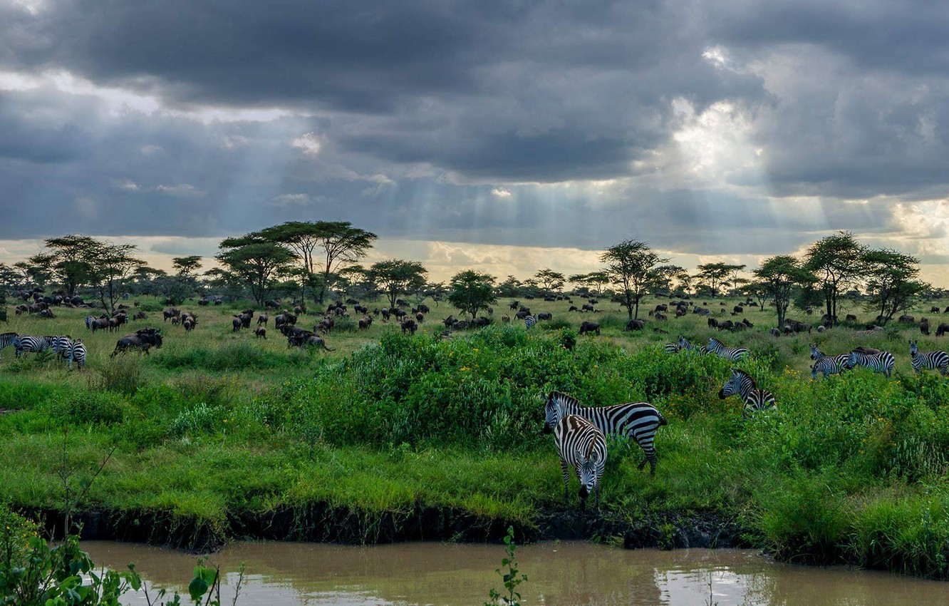 Tanzania Wallpapers