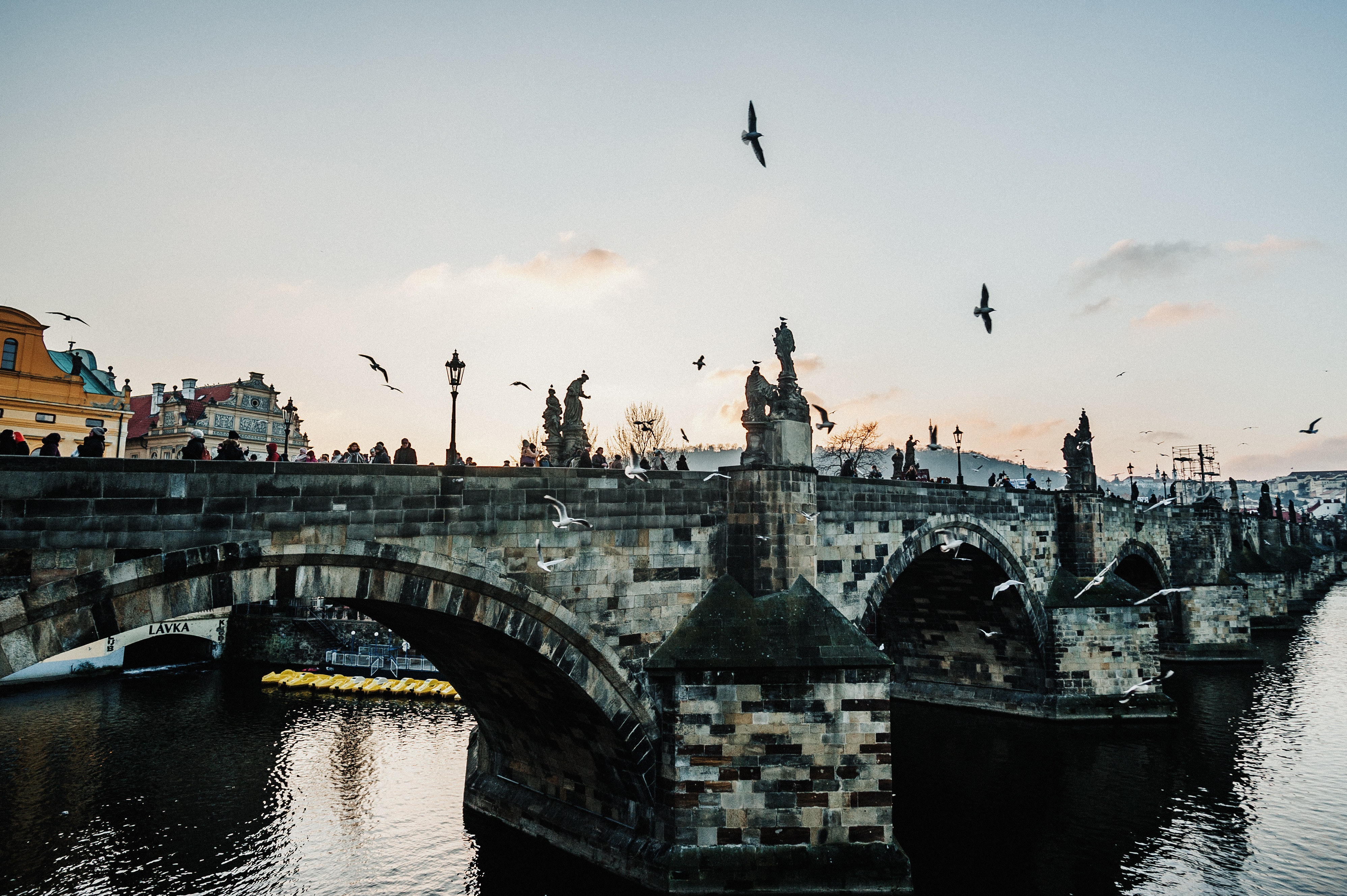 The Charles Bridge Wallpapers