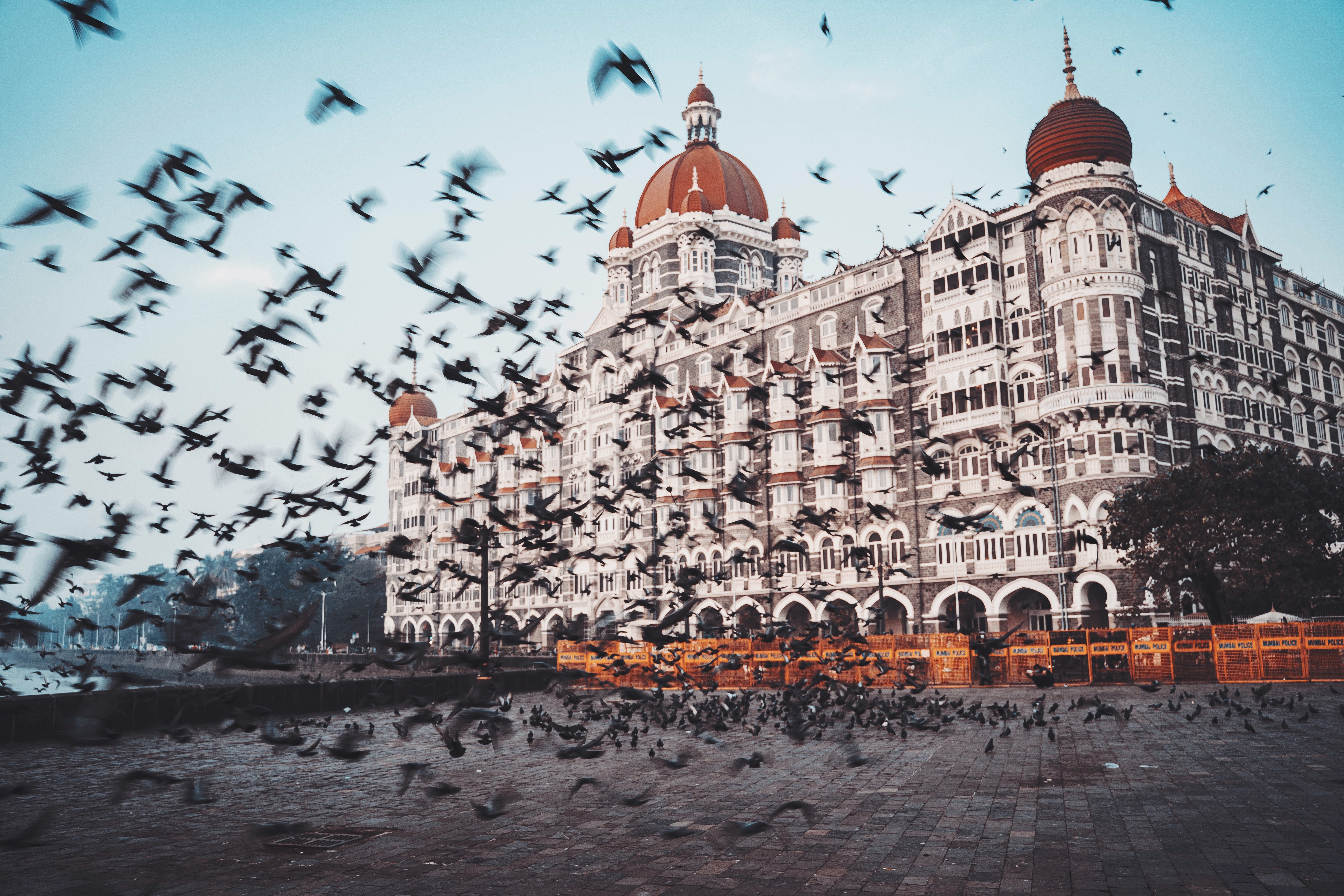 The Taj Mahal Palace Hotel Wallpapers