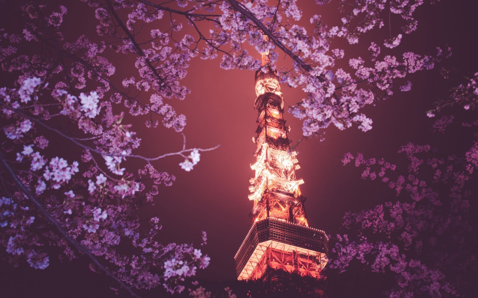 Tokyo Tower Wallpapers