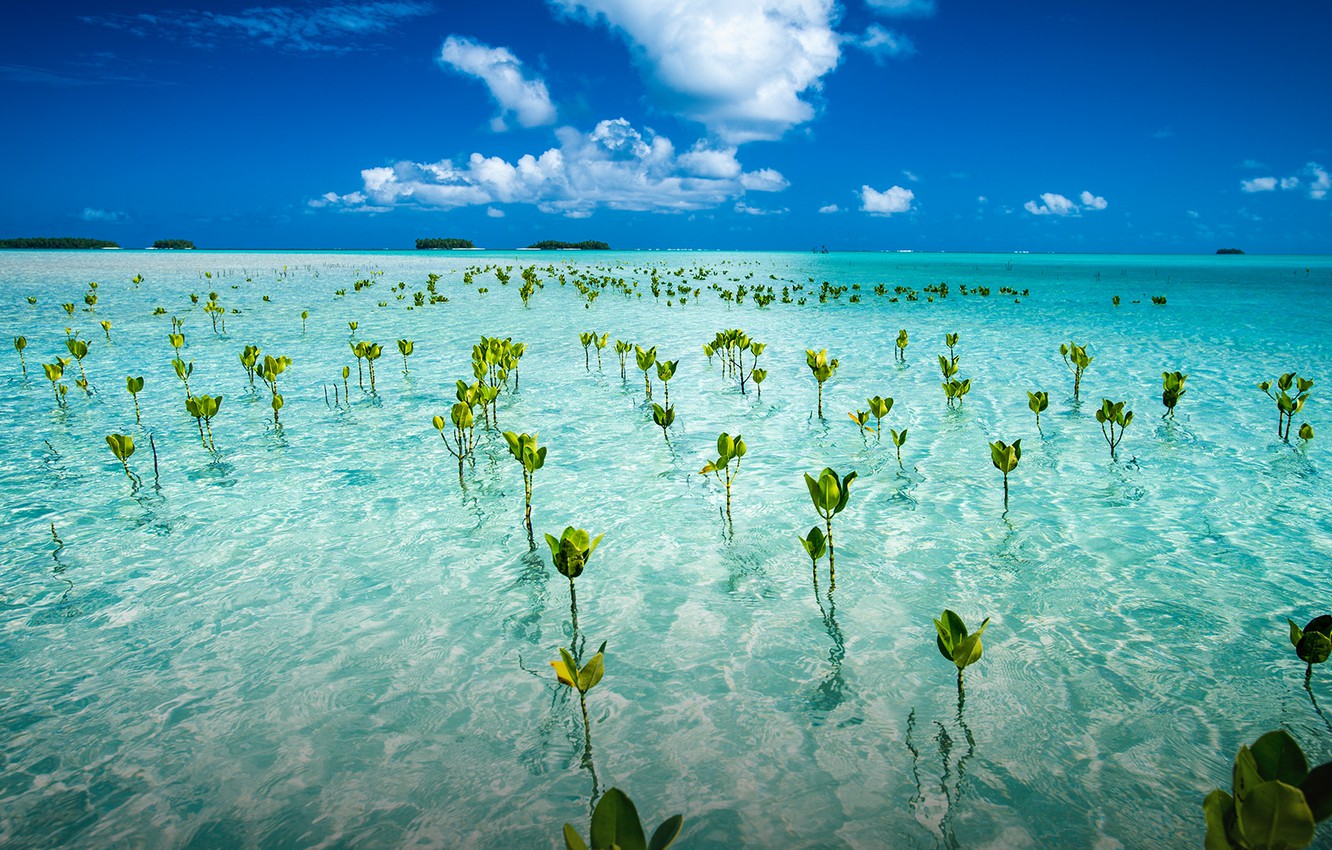 Tuvalu Wallpapers