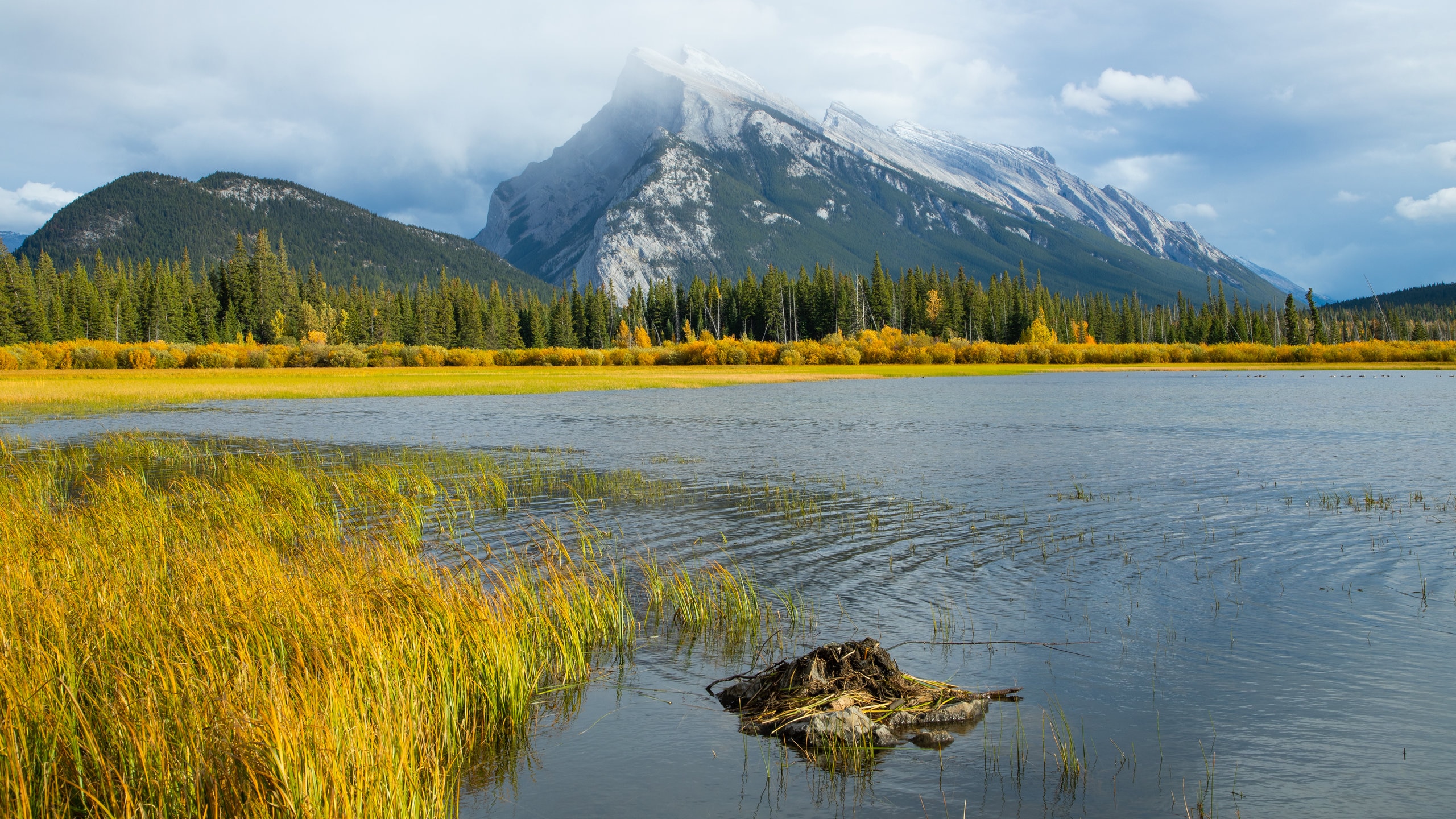 Vermillion Lakes Mount Rundle In Banff National Park Wallpapers