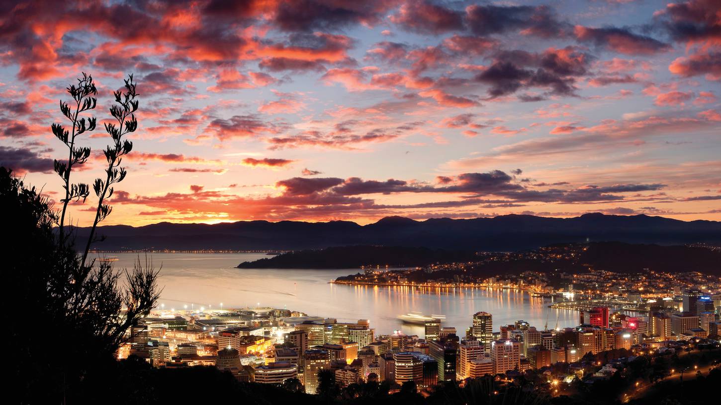 Wellington Wallpapers