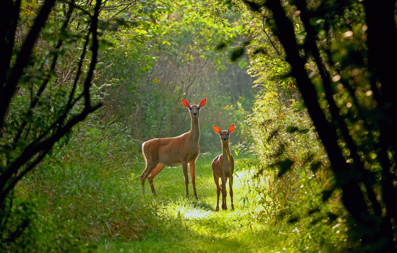 Wisconsin Wallpapers