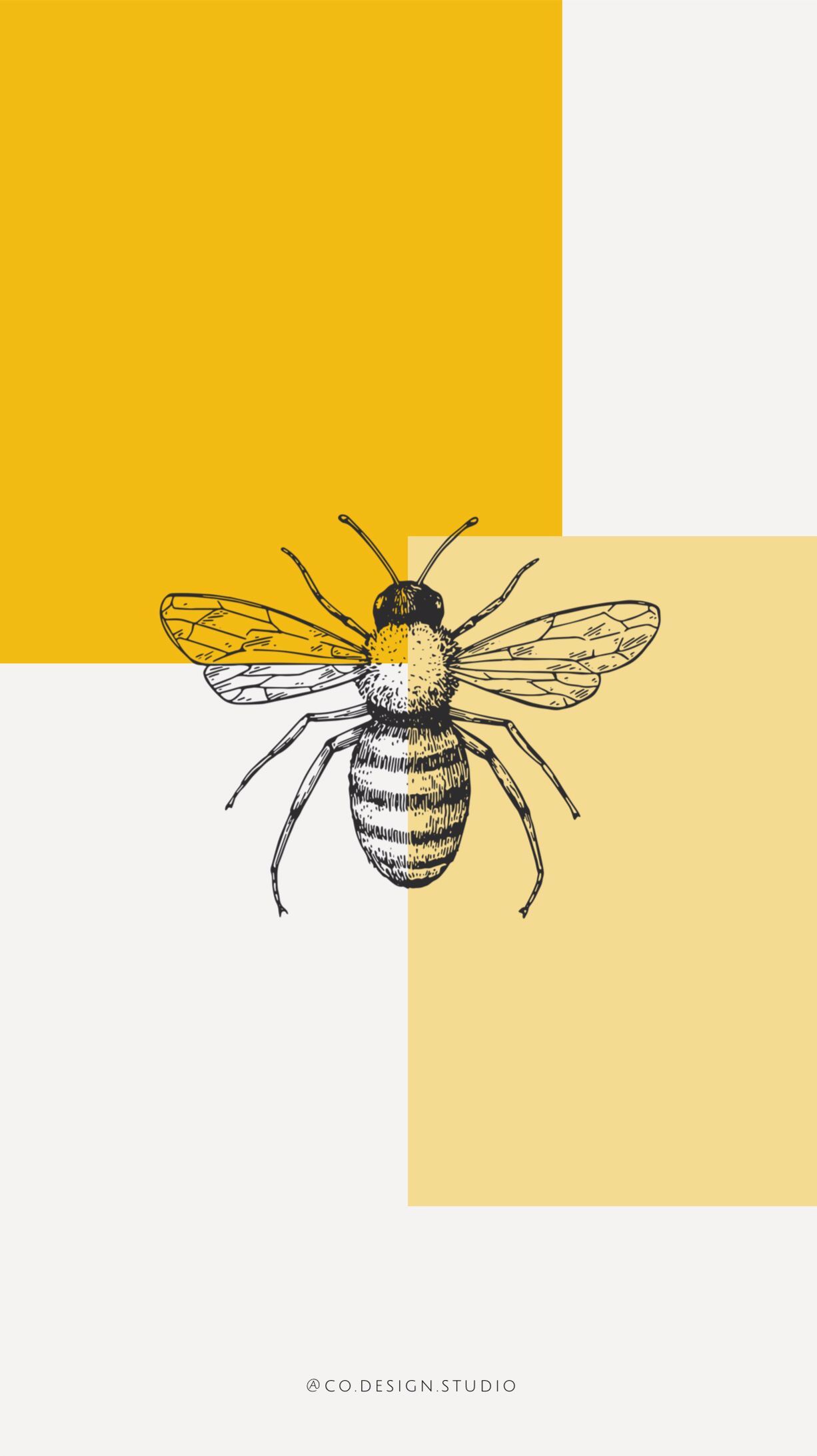 Bee Wallpapers