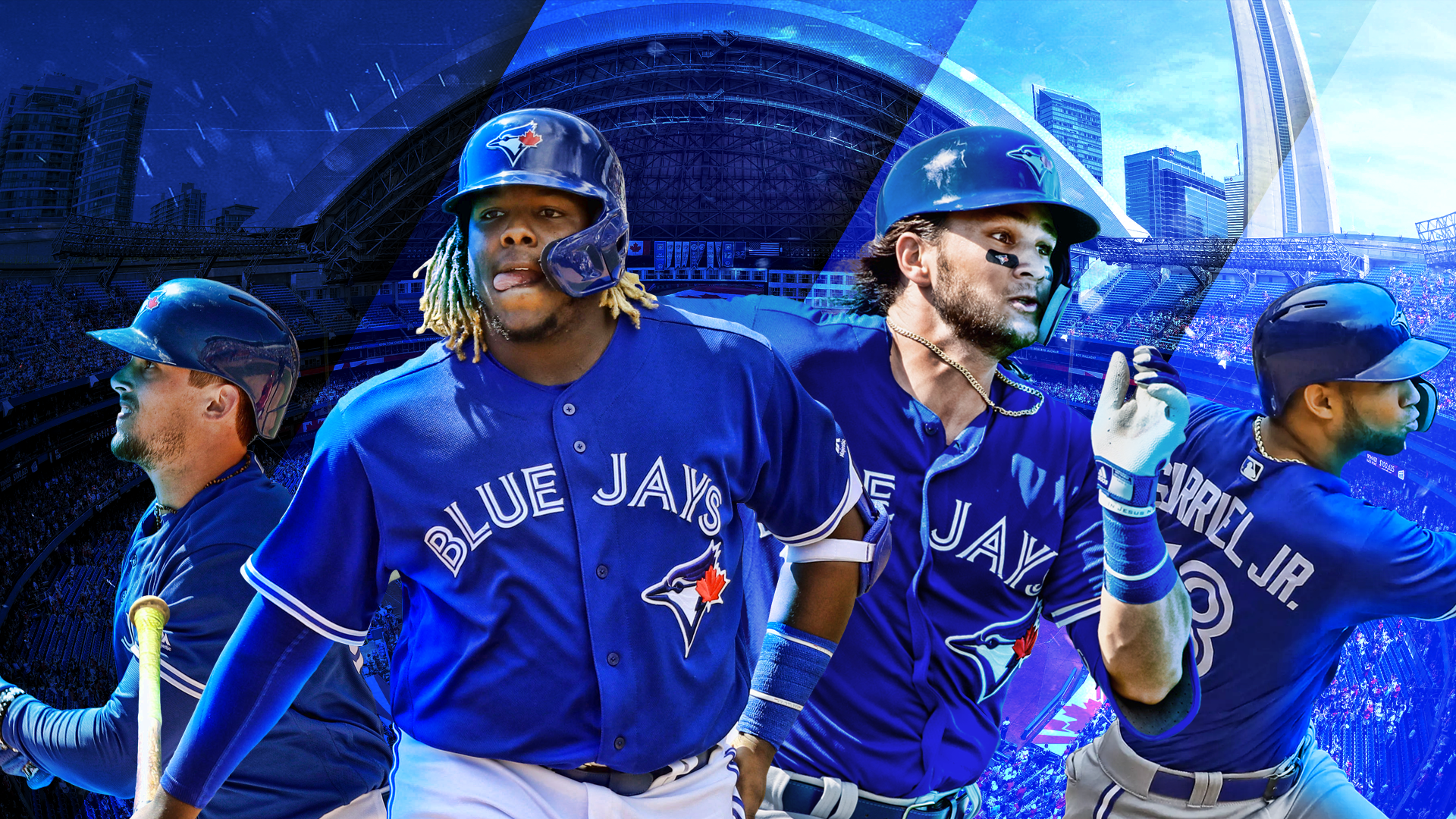 Blue Jay Wallpapers