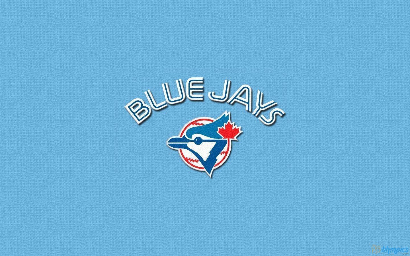 Blue Jay Wallpapers